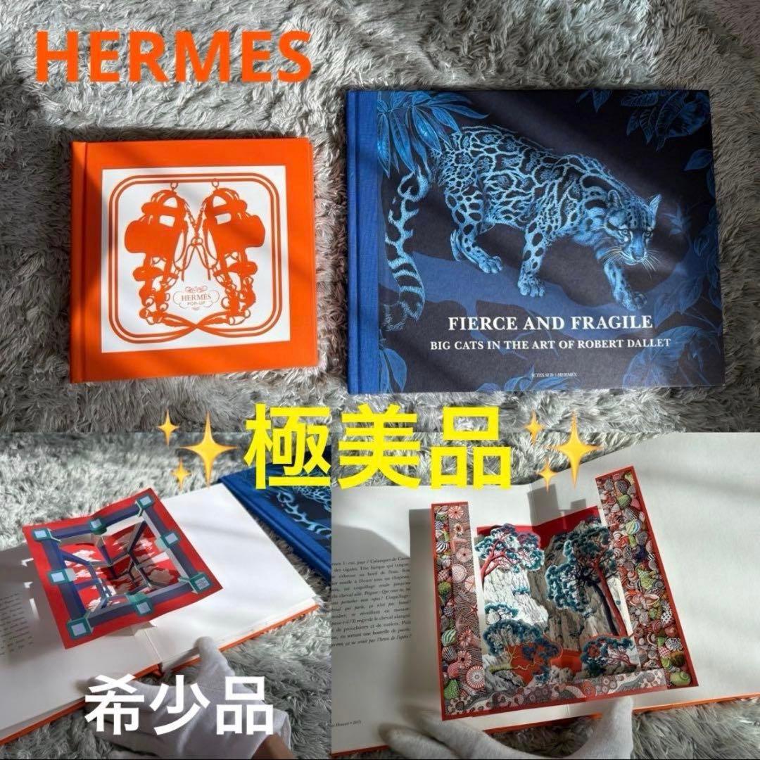 エルメス 飛び出す絵本 画集 2冊セット 写真集　ロバート　ダレ　画集　洋書