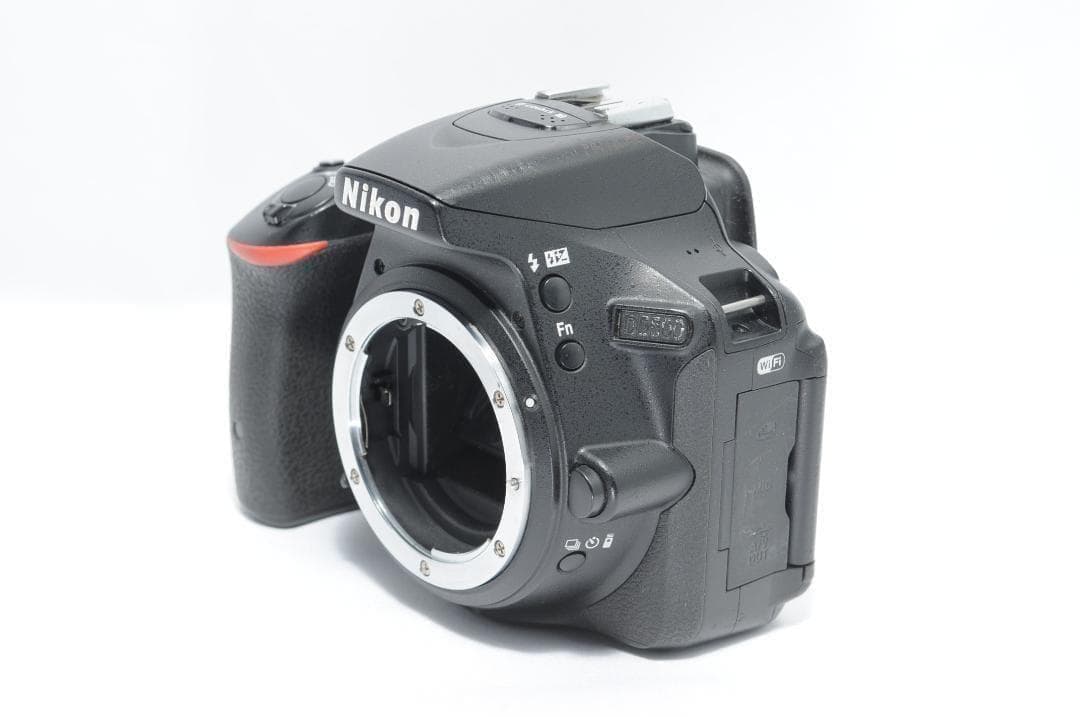 お子様も風景も綺麗に❤️Nikon D5500✨すぐ使えてWi-Fiでスマホ転送