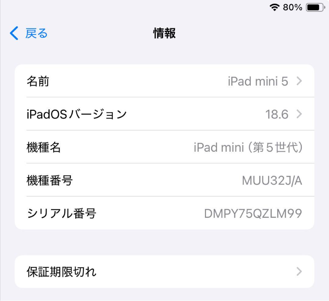 iPad mini 5 256GB Wi-fiモデル スペースグレー