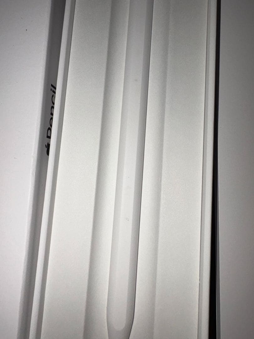 Apple Pencil usb-c 2025購入