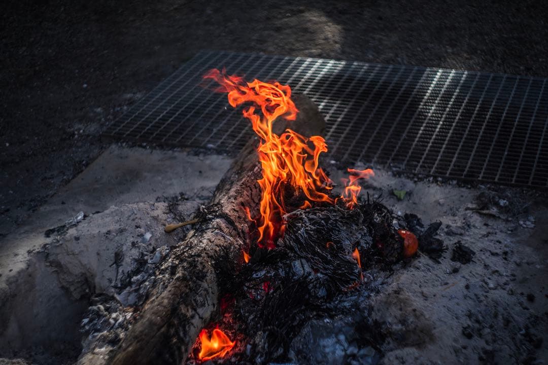 美品+ 分解清掃済 Helios-44-2 58mm f2 ぐるぐるボケ 十四