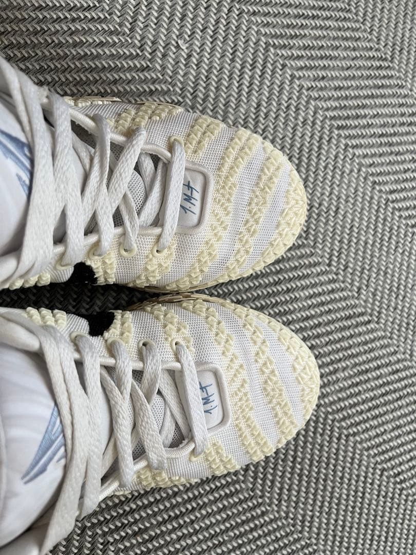 バスケ用バッグ NIKE JA3 26.5cm