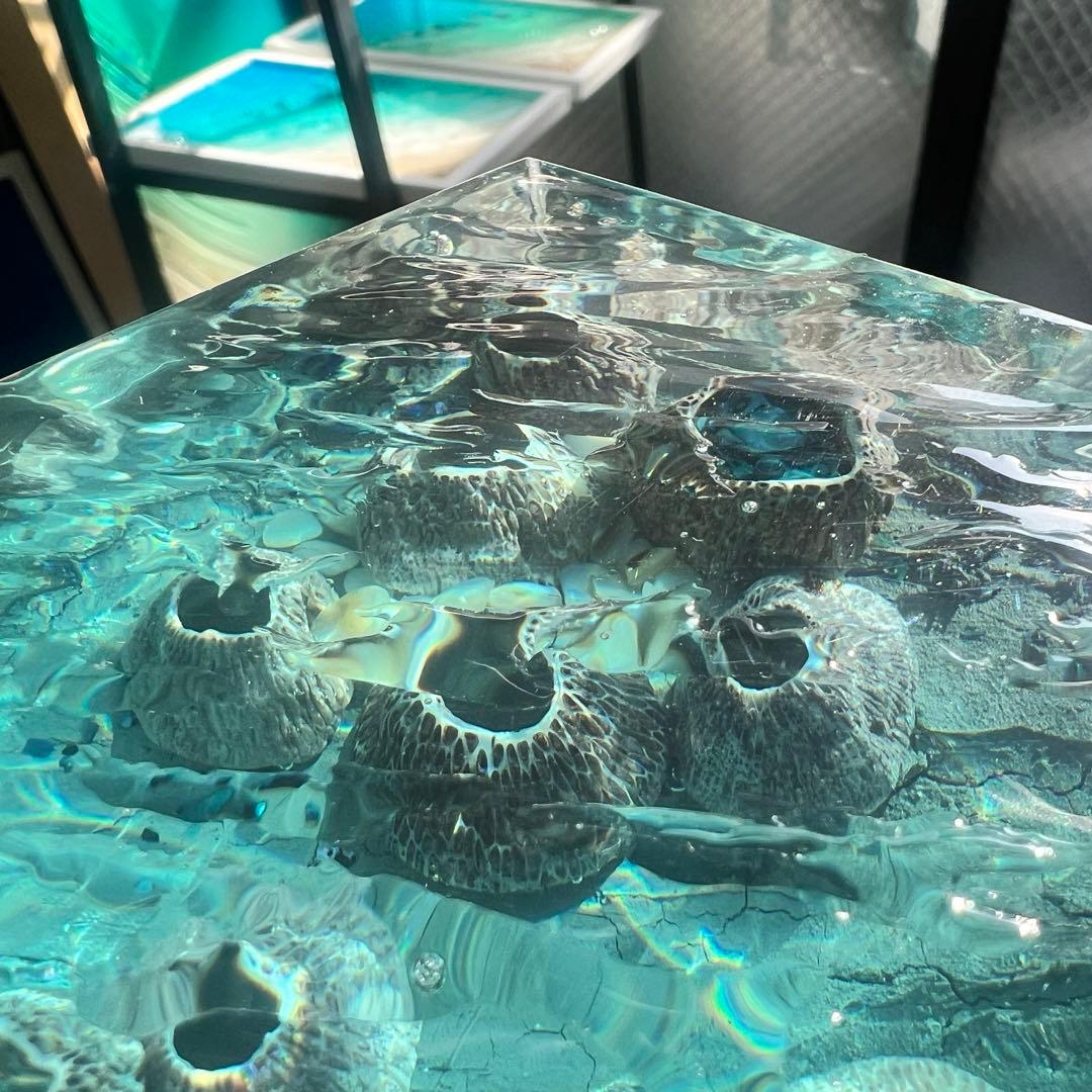 【波紋アート】フジツボアート／barnacle／オブジェ／10cmプリズム