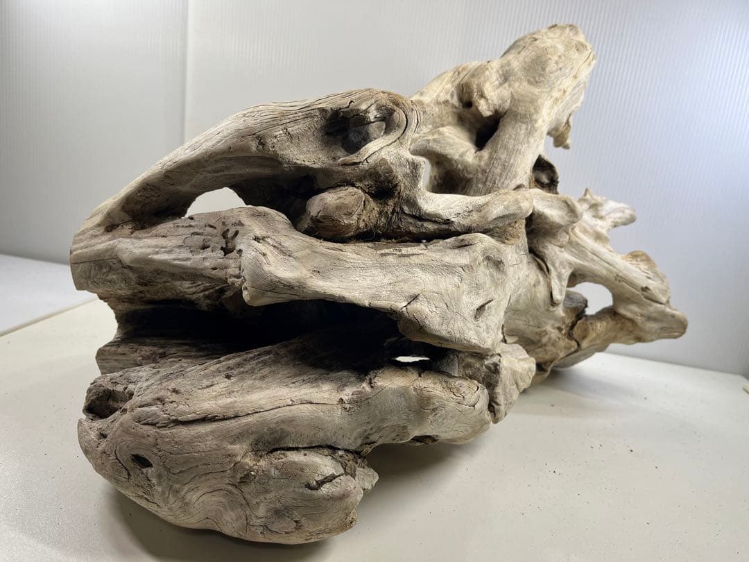 T90特大流木 大型流木 アク抜き済み 漂白処理 爬虫類シェルター インテリア