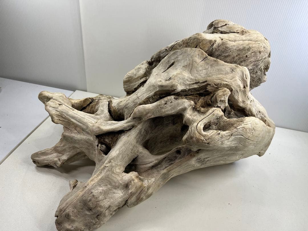 T90特大流木 大型流木 アク抜き済み 漂白処理 爬虫類シェルター インテリア