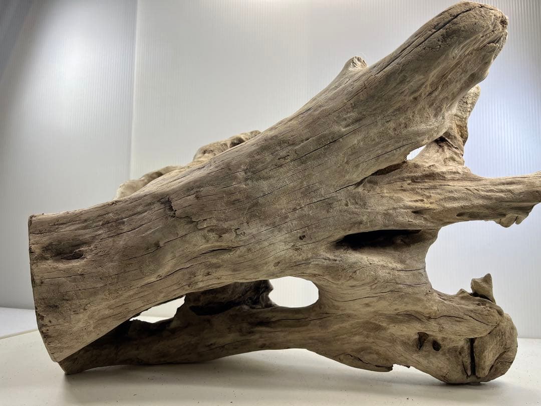 T90特大流木 大型流木 アク抜き済み 漂白処理 爬虫類シェルター インテリア