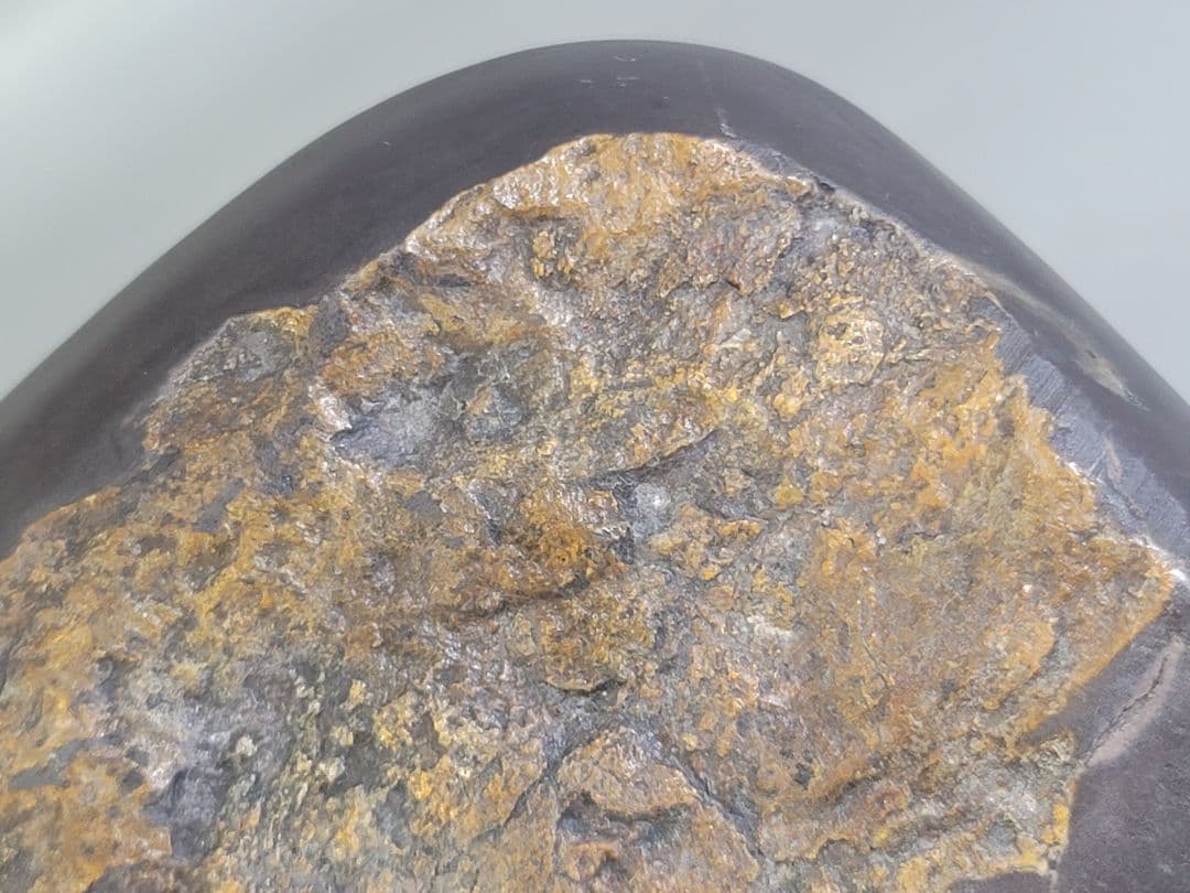 DT531 中国 文房四宝 端渓 刻梅紋 硯 唐木蓋付 美品