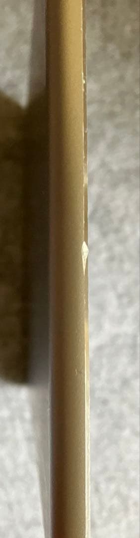 iPad mini4 WiFiモデル　128GB