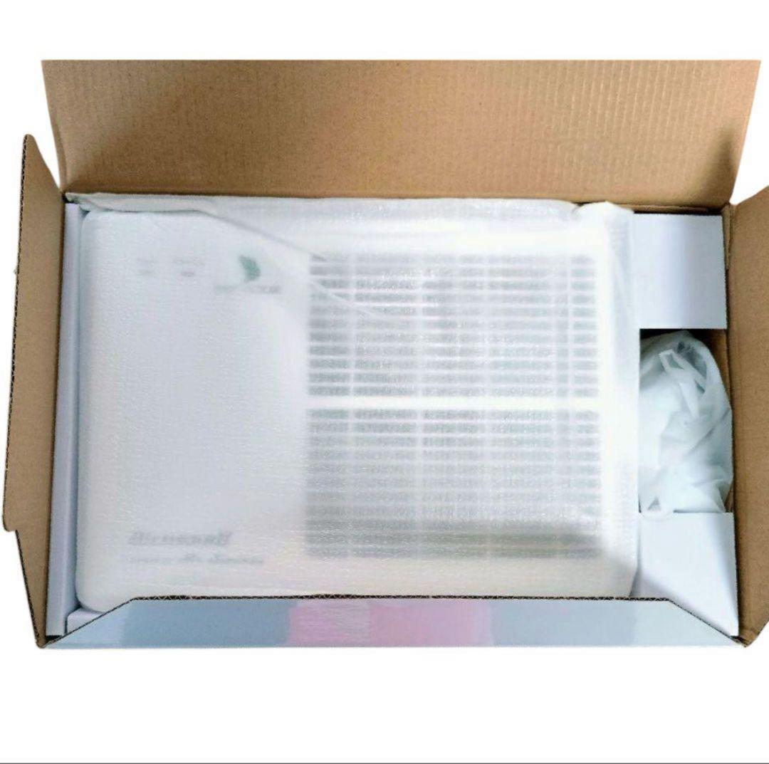 新品　インフルエンザ　除菌　エアネスⅡ ニオイ、菌、ウイルスに