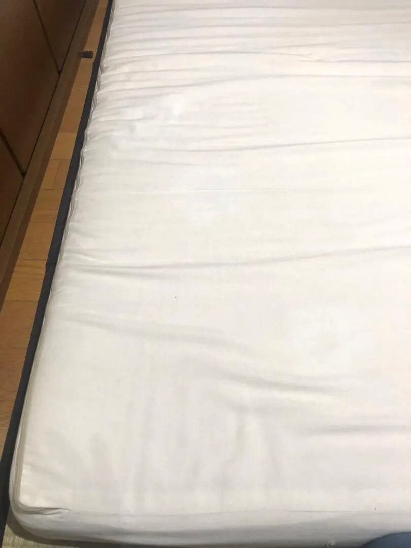 クッションシート単品　モモナチュラル　デイソファ2.5P