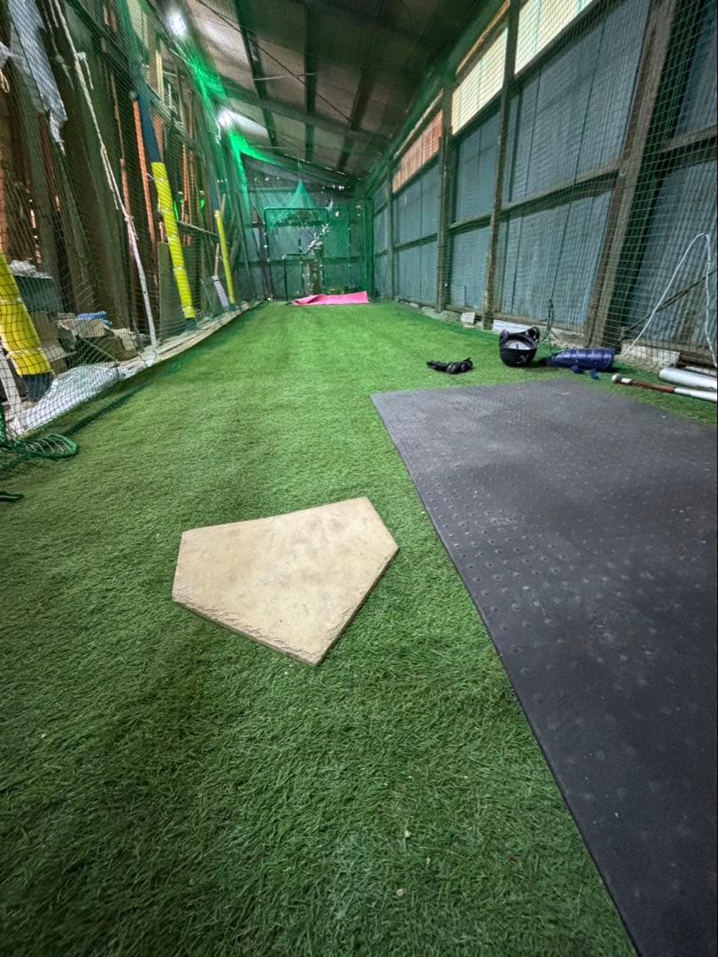 本格　とりかご　バッティングゲージ　硬式　練習　室内練習場　ネット　人工芝　打撃