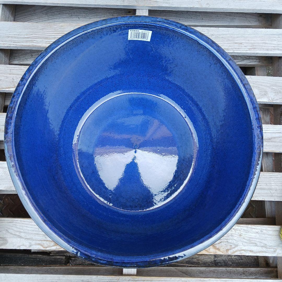 新品　∅50　特大　陶器　睡蓮鉢　手造り　メダカ鉢　難有　ラピスブルー　青LDB
