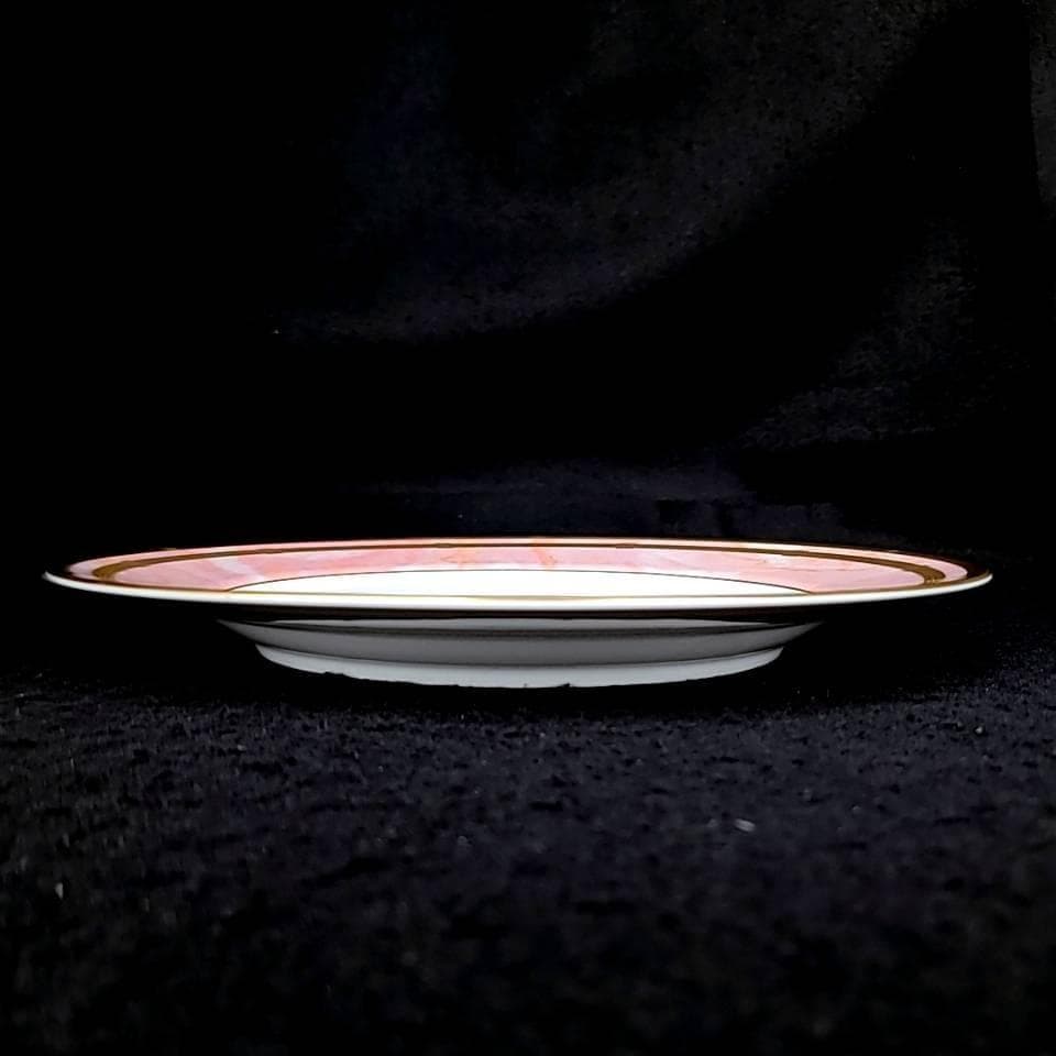 /良品/Dior　マーブルローズ　ディナープレート　6枚　大皿 1