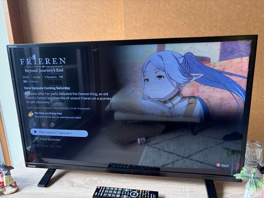 TOSHIBA REGZA 液晶テレビ 2022