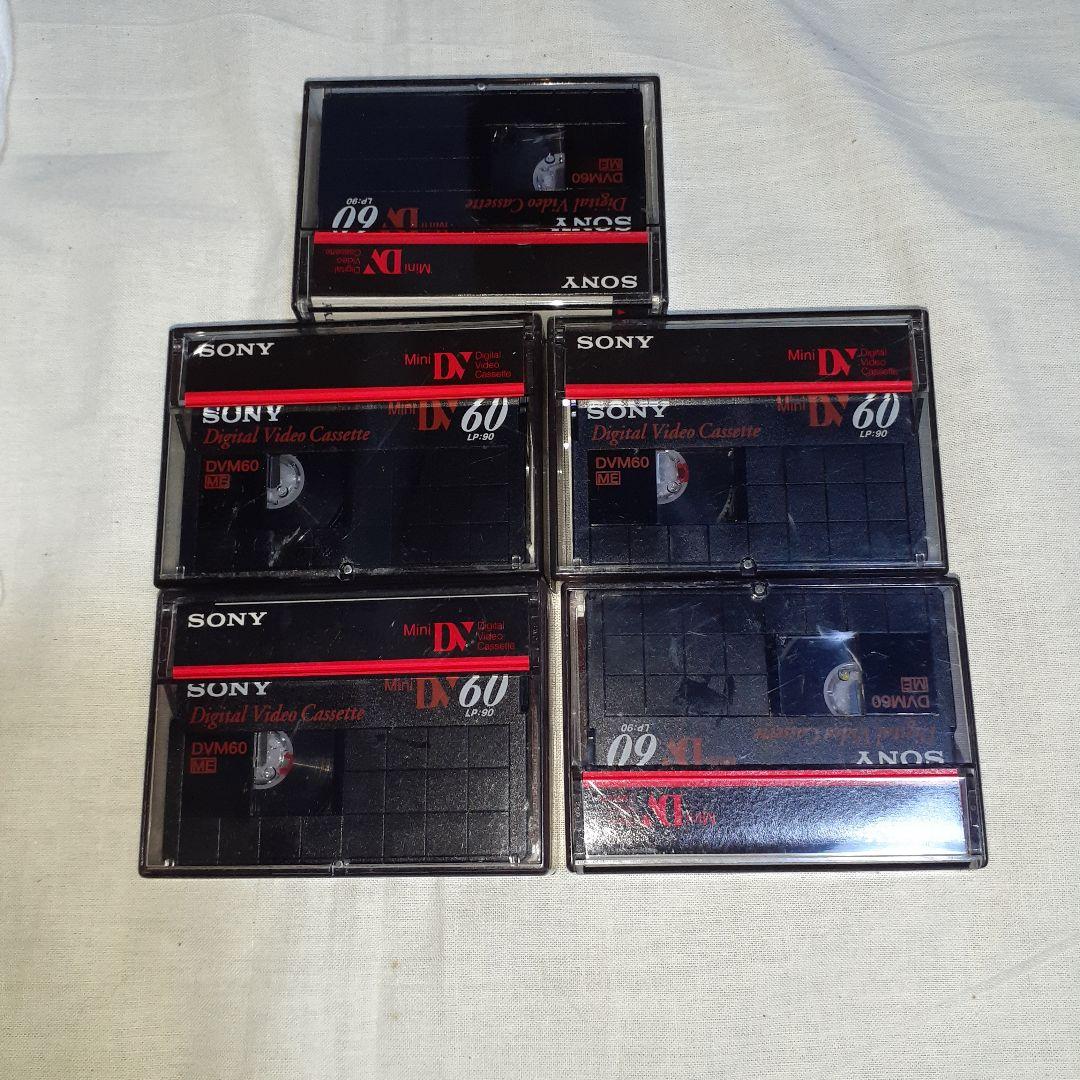 Panasonic デジタルビデオカメラ NV-DS200 miniDV対応