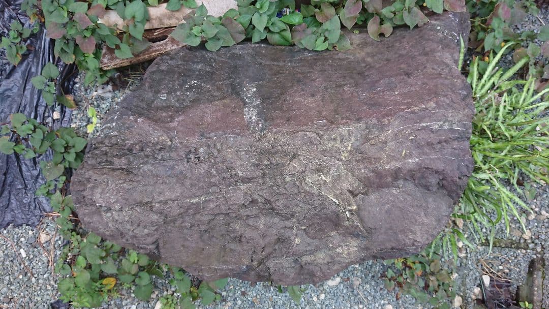 ※引き取り限定※  最終値下げ・庭石セット