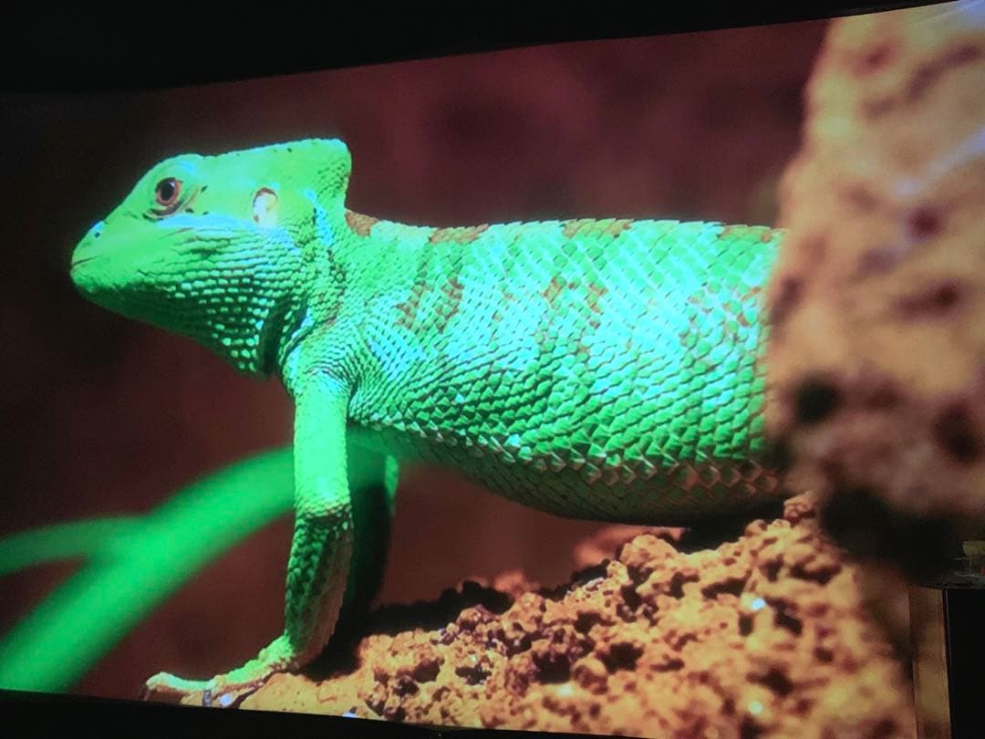 引越しする為早く売りたいのでお値下げも考えてます！