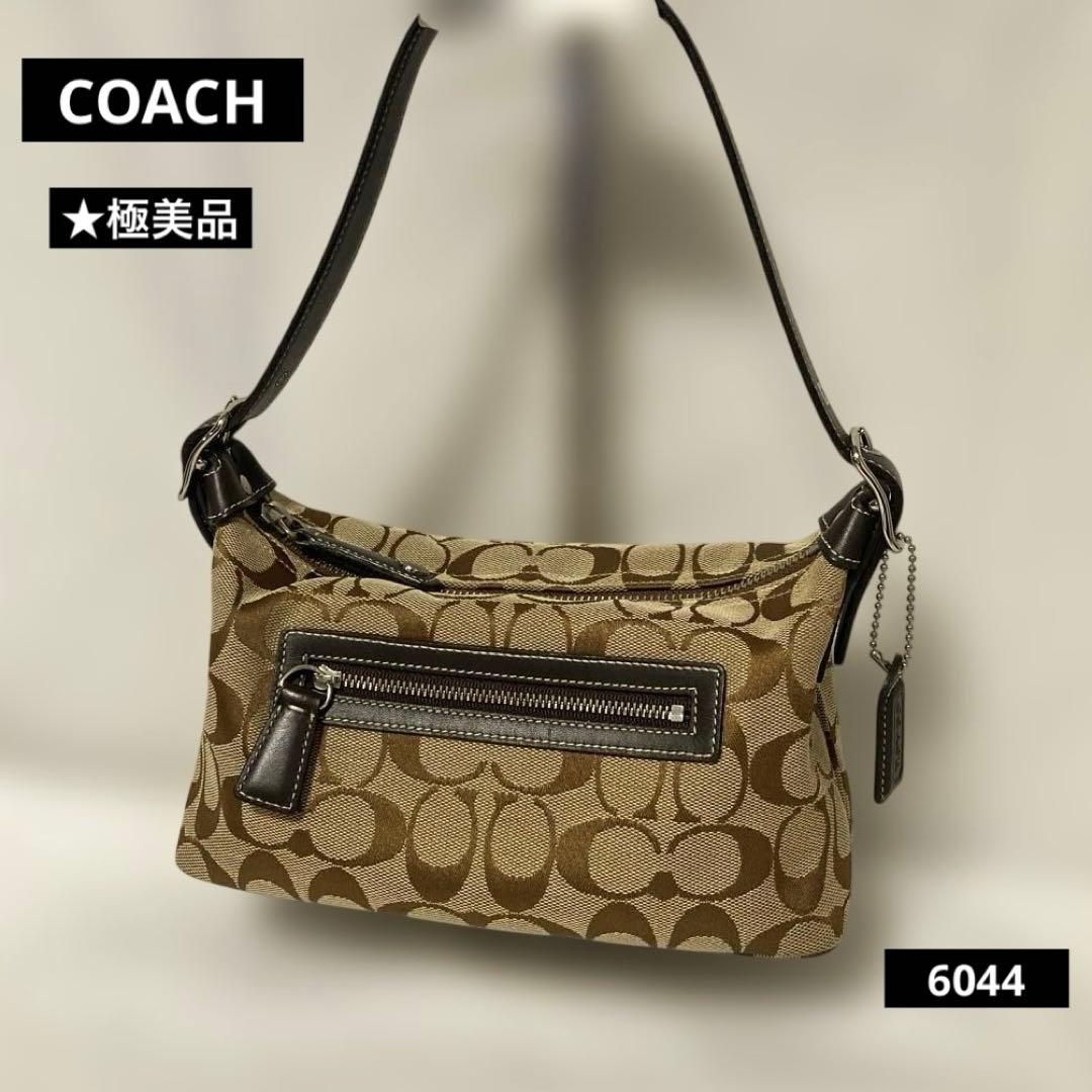 COACH　アクセサリーポーチ★極美品ハンドバッグ シグネチャー　6044