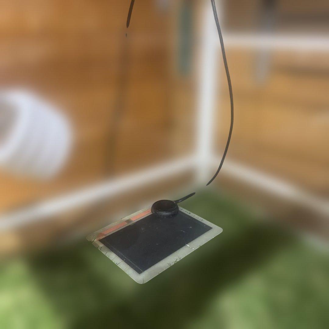 パンテオン6045 他飼育セット