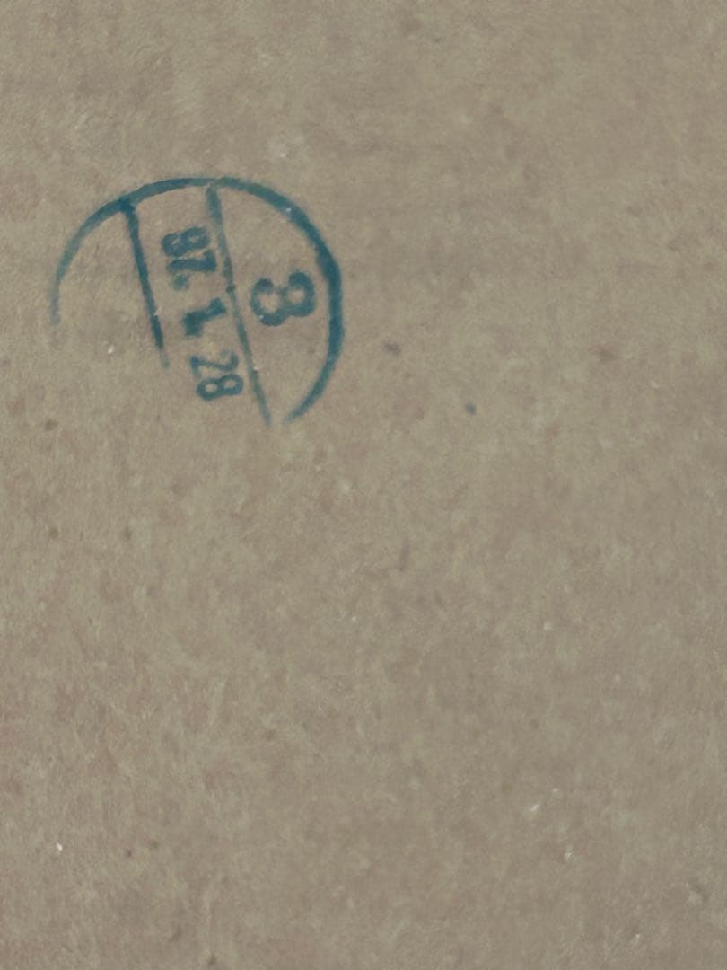 NIKE エアージョーダン12 28,0㎝　劣化あり　オリジナル