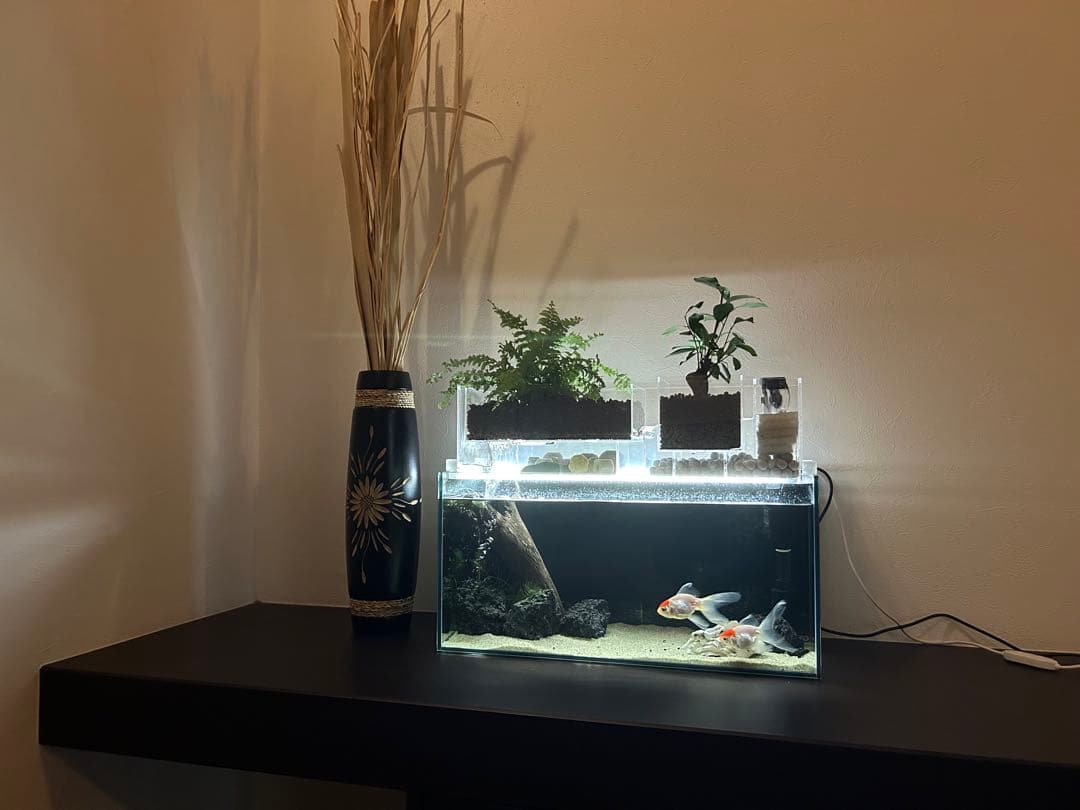 上部濾過式アクアポニックス水槽セット