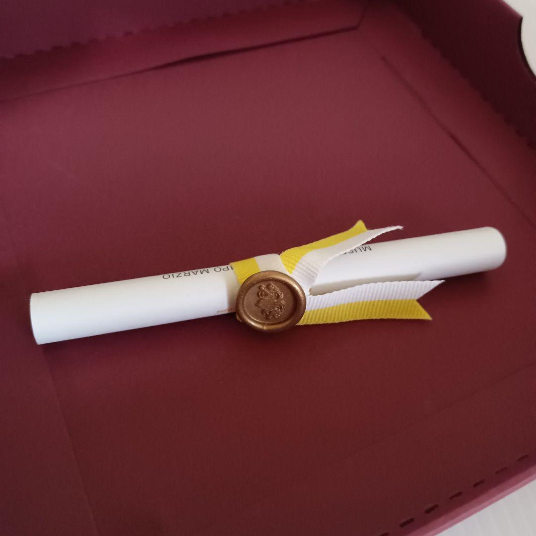 新品 未使用 CAMPO MARZIO　バチカン美術館コラボセット　万年筆