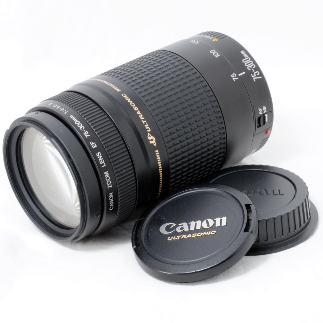 ⭐️良品⭐️Canon キャノン EF 75-300mm F4-5.6 ⅡUSM