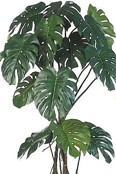 光触媒　人工観葉植物　ウォールグリーン　フェイクグリーン　モンステラ175