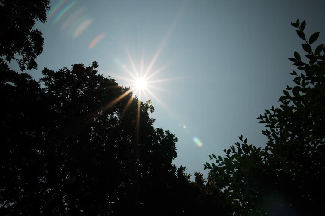 極美品 タムロン 28-75mm F2.8 マクロ ニコンF 標準ズーム