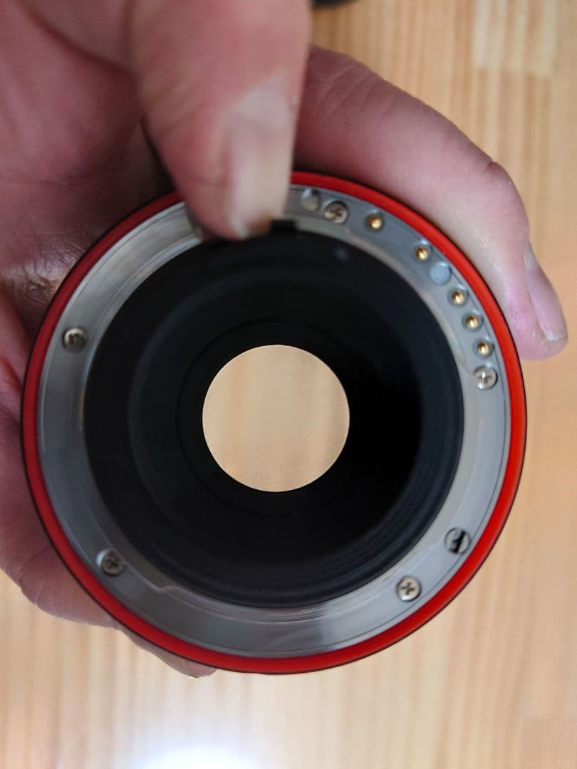 PENTAX ペンタックス D FA MACRO 100mm F2.8 WR