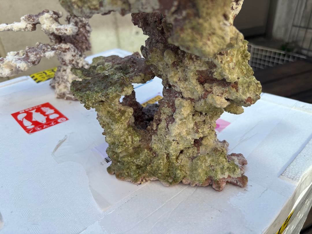 ライブロック 2点セット JSコーラル