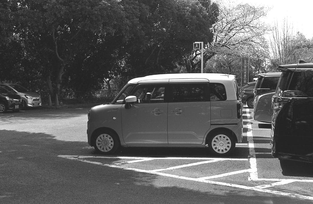 【整備済完動】PENTAX MX 黒/SMC PENTAX 50mm F1.4