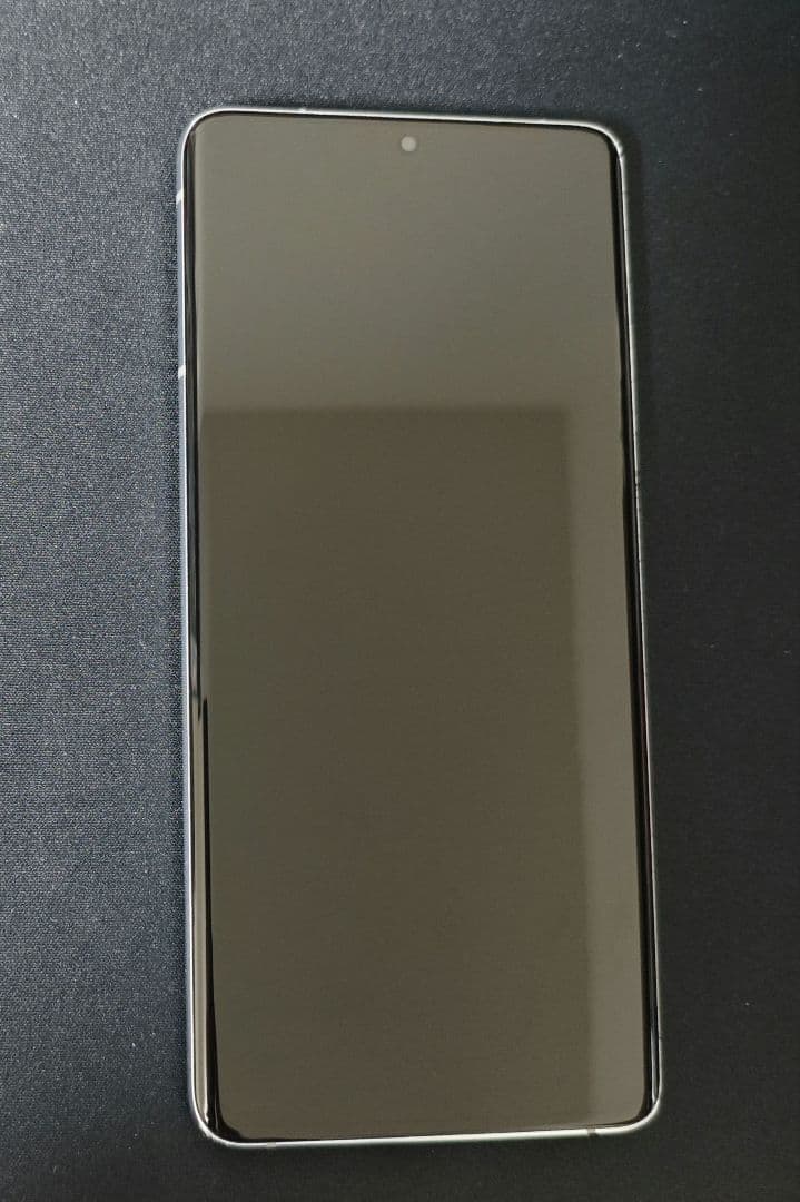 Galaxy S21 Ultra 5G ファントムシルバー docomo版