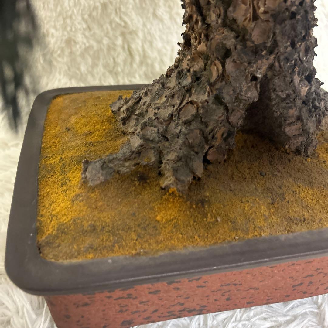 【美品】造花 盆栽 レプリカ 松　ビッグサイズ