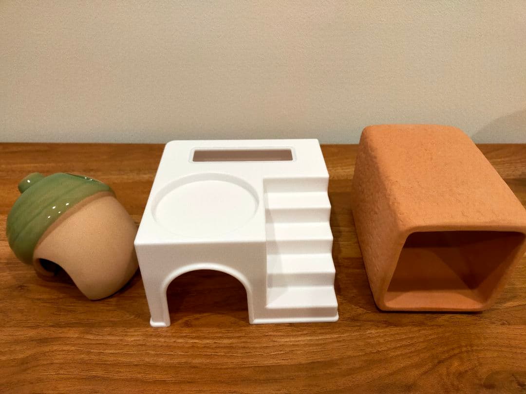 ルーミィ60 ベーシック 飼育セット