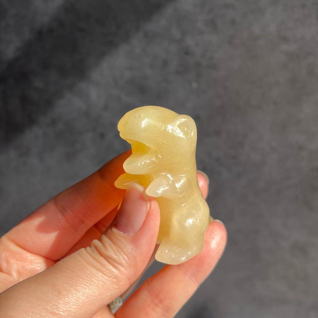 イエローカルサイト 恐竜