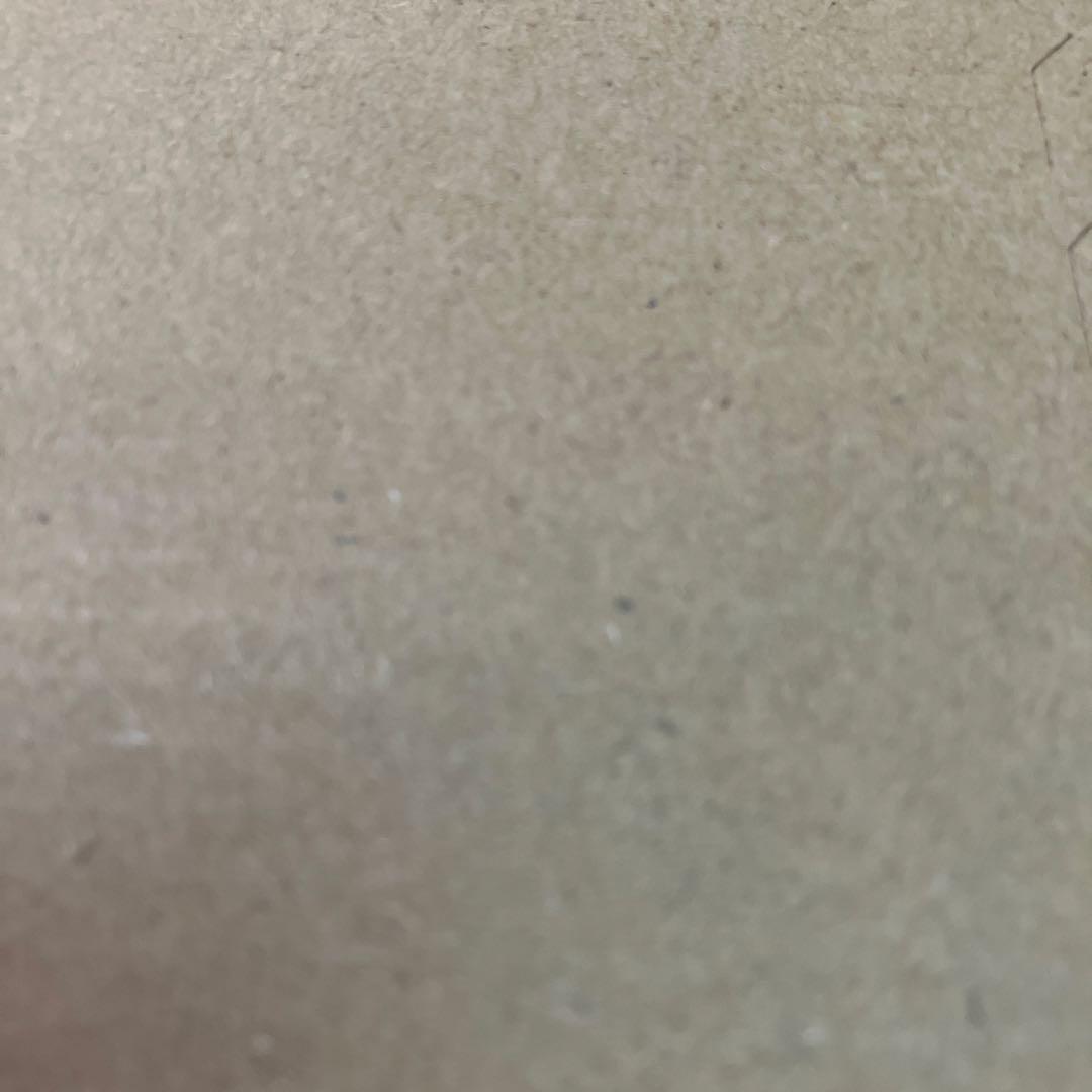 ② abc様　ゴールデンリバーサイド　シャーアンバー　親株