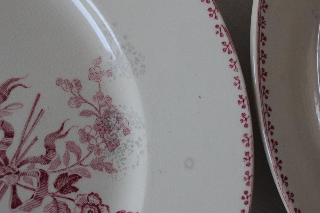 【B】2枚セット【サルグミンヌ】フォンタンジュプレート /フランスアンティーク