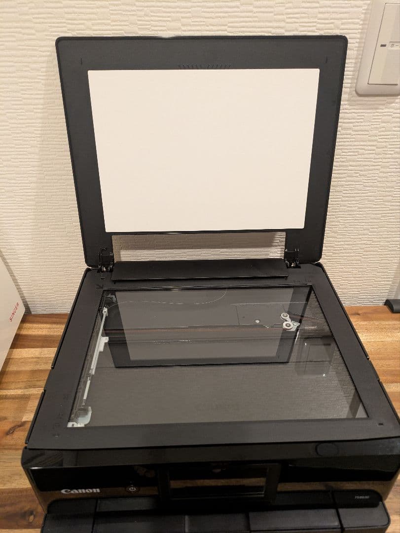 Canon PIXUS TS 8630 印刷枚数 570枚 N8021