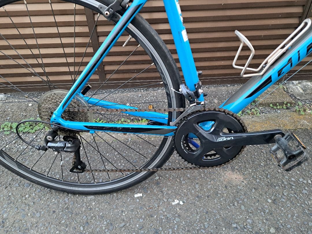 giant contend1 2019 ブルー