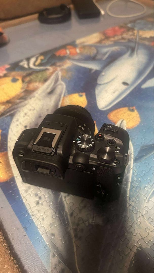 Canon EOS R10 ミラーレス一眼カメラ SDカード　128GB