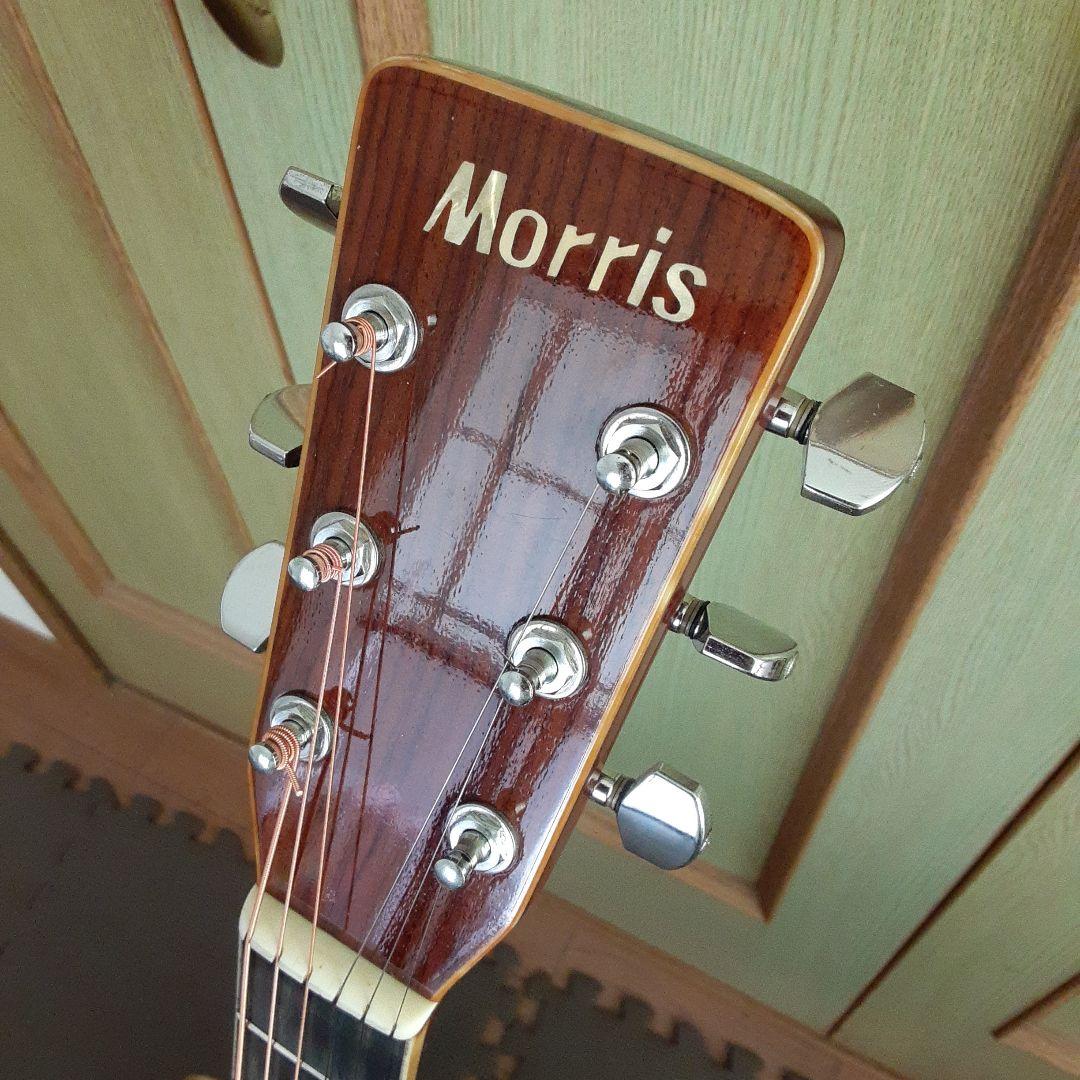 Morris日本製 w30 アコースティックギター ドレッドノート