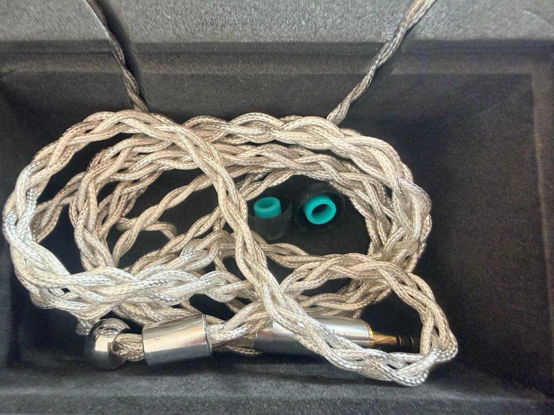 イヤホン Flipears AURORA XXIV (Universal Fit)