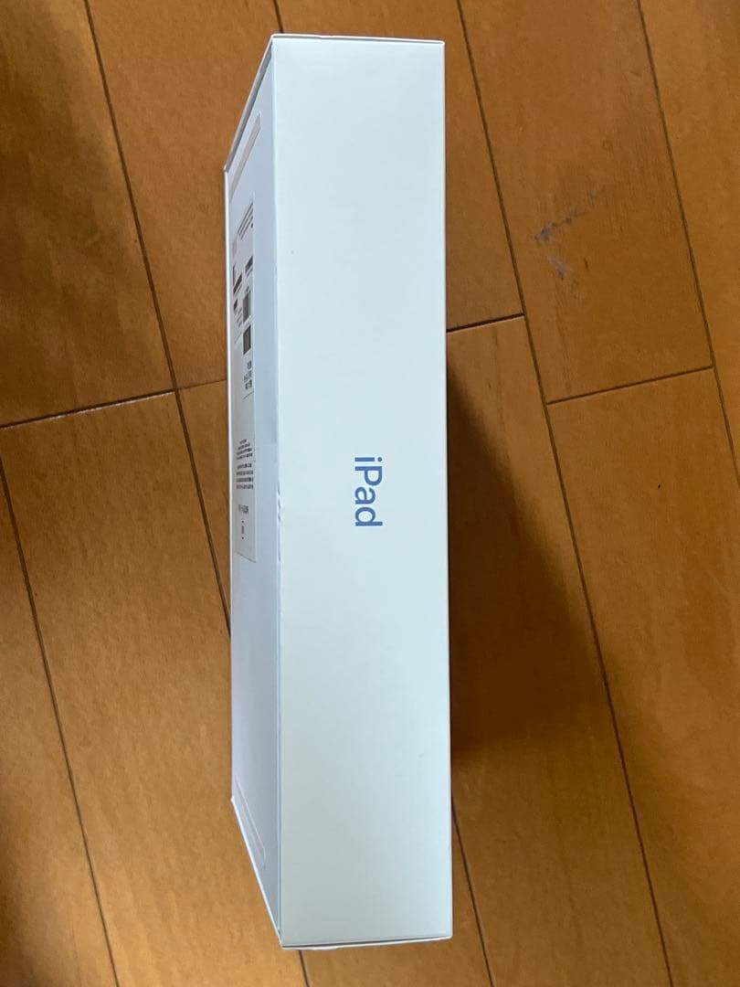 iPad (第10世代)WiFi＋Cellular 64GB ブルー 美品