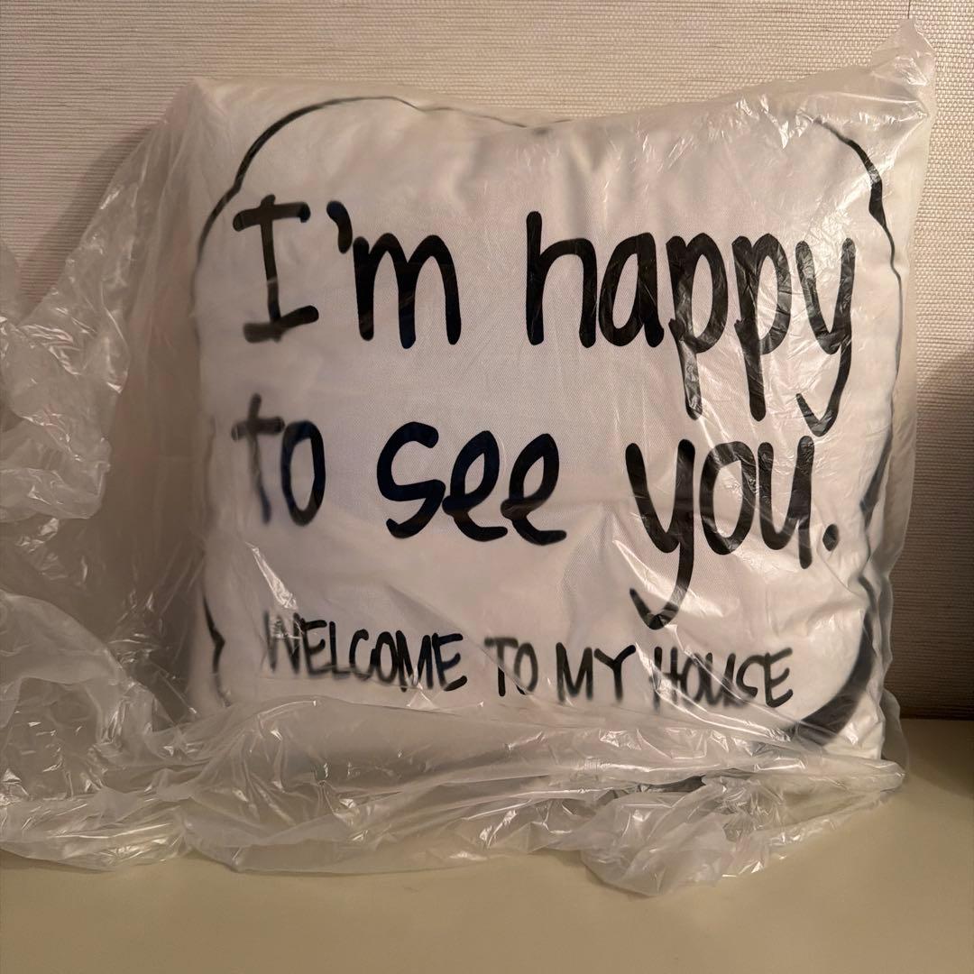 【未使用品/クリーニング済】Cecil McBee クッション 2個セット