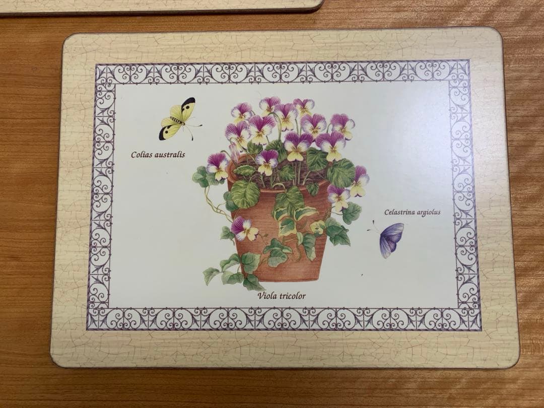 希少✨サラズガーデンシリーズ ランチョン　プレートマット6種柄