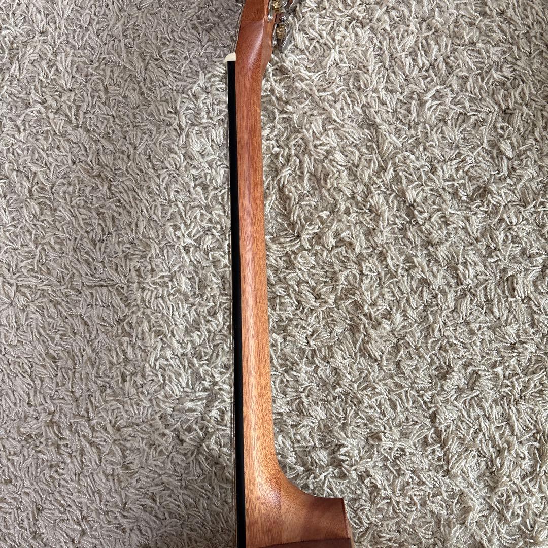 SX トラベラーギター TG1