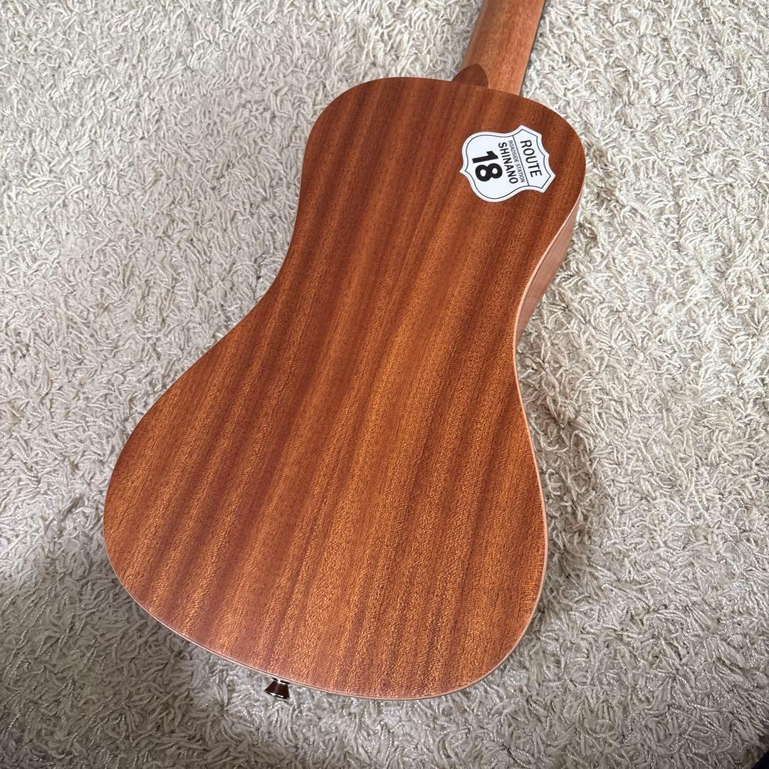 SX トラベラーギター TG1