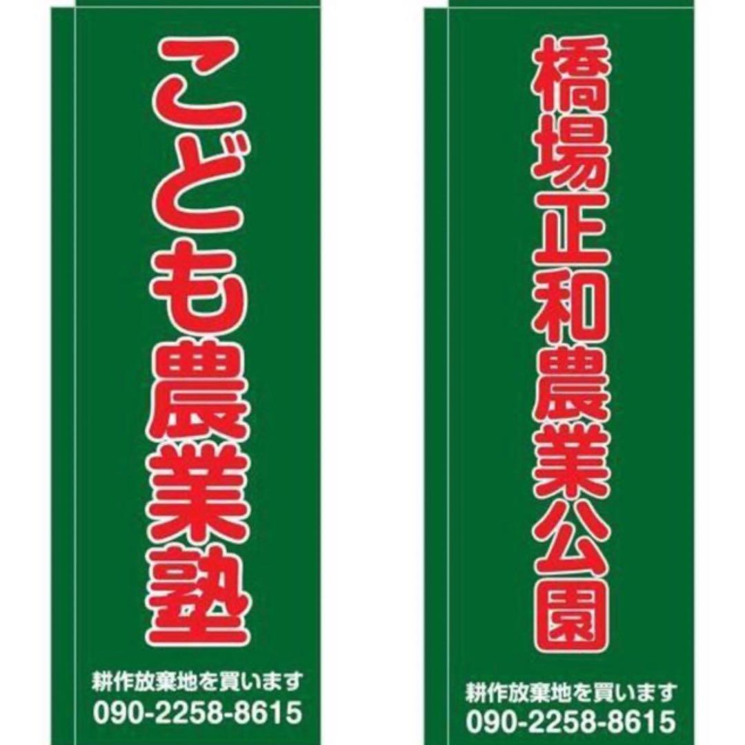 アンティーク雑貨【壁掛け　鏡　昭和レトロ　木彫り　八角形】