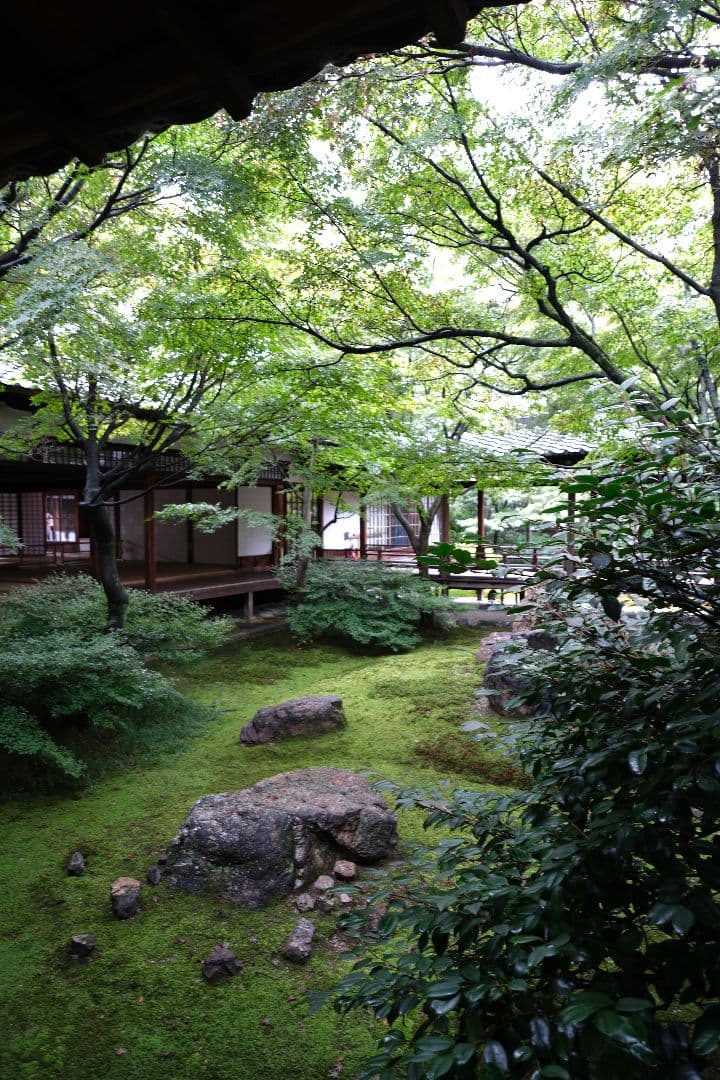 Fujifilm X-M5ボディ（シルバー）